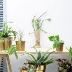 H&M HOME-cvijece-piosude-zlatne-balkon
