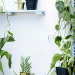 H&M HOME-cvijece-piosude-zlatne-balkon-2