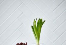 Radost je u maloj vazi. Zato volim Zagreb