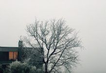 Danas je i službeno…