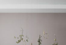 Trk na plac po raznu zelenjavu