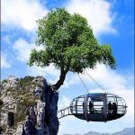 tree-suspended-cliff-house