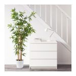 umjetni bambus, 349 kn, Ikea