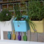 Klara Gardening