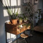 botanicar-zagreb-caffe-galerija (6)