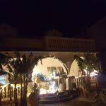 gordana troskor basic4