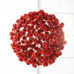 floraart-zagreb (22)