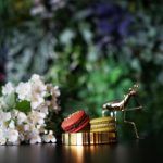 point-torterie-macaron-zagreb (23)