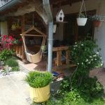 33814888_10216057016918860_4221672472207949824_n