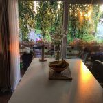 Danijela-Bekafigo-vrt-terasa-balkon_2