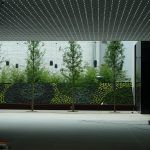 ban-centar-ksenija-diminić