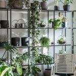 botanike-studio-osnova (39)
