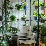 botanike-studio-osnova (4)