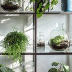 botanike-studio-osnova (41)