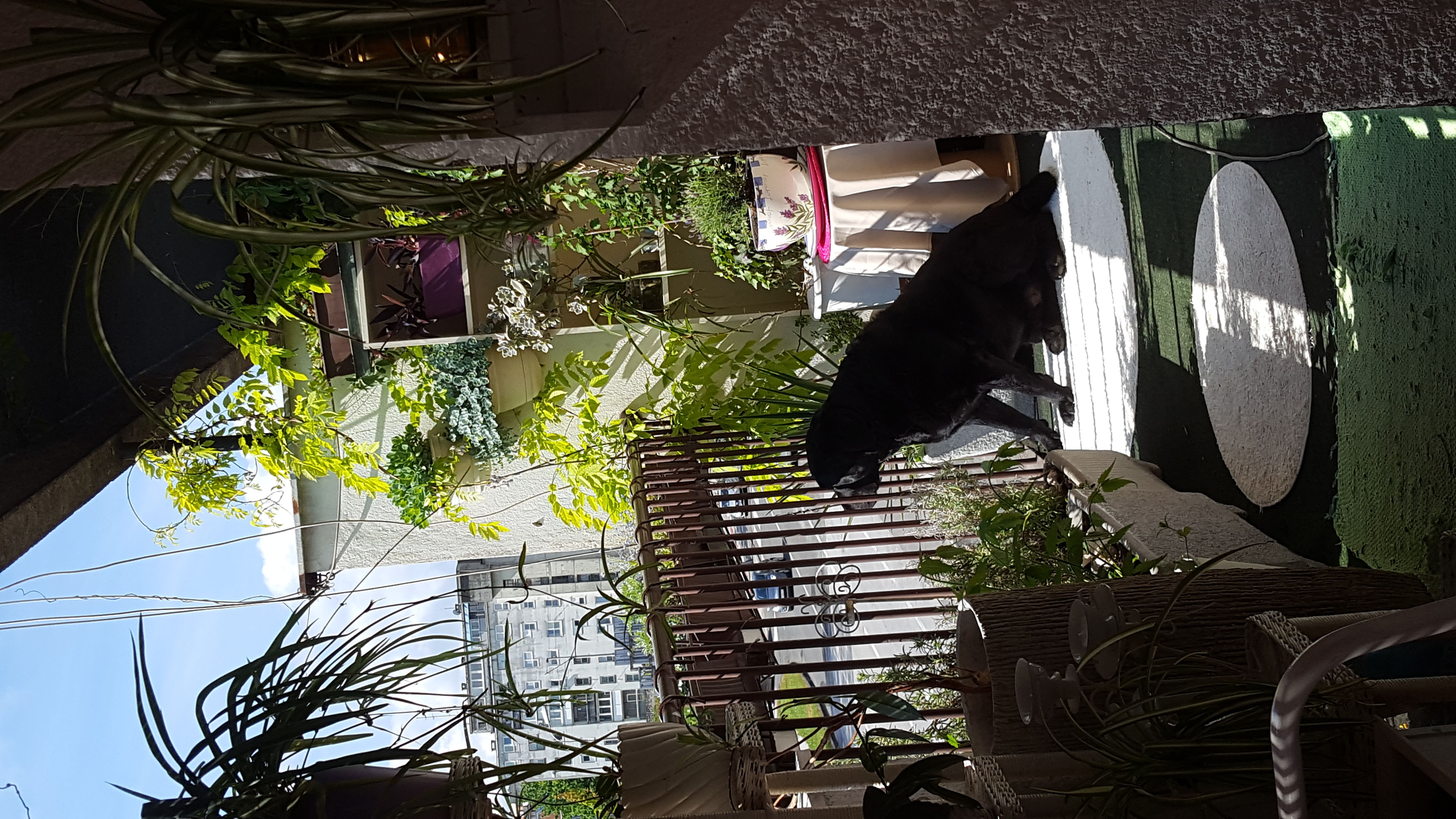 dunja Štajcer Karlovac – 2