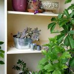 rsz_1dunja_Štajcer_karlovac_-_3