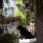 rsz_dunja_Štajcer_karlovac_-_2