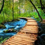 fenomen-plitvice (4)