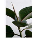 prije 40 eura, sada 28 eura