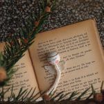 bozicni-pokloni-pupa-franca