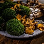 osnova-istra-hedonistria-boris-ruzic (1)