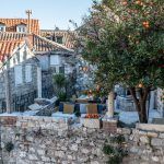 secret-orange-tree-dubrovnik (47)