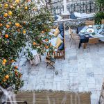 secret-orange-tree-dubrovnik (48)