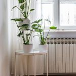 skola-stranih-jezika-sputnik-zagreb (15)