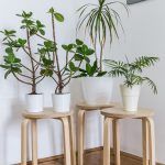 skola-stranih-jezika-sputnik-zagreb (25)