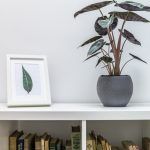 skola-stranih-jezika-sputnik-zagreb (34)