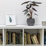 skola-stranih-jezika-sputnik-zagreb (35)