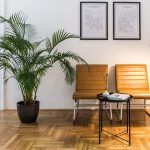 skola-stranih-jezika-sputnik-zagreb (77)