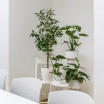 skola-stranih-jezika-sputnik-zagreb (79)