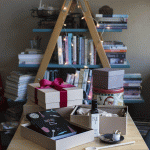 ana-marija-bujic-pantarul-paketic