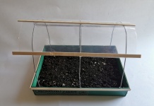 Eko zabava u izolaciji – Napravite vlastiti plastenik!