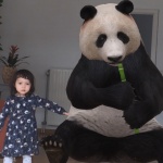 google-animals-view-in-3D (3)