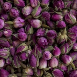 botanica-zacini (22)