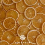 botanica-zacini (23)