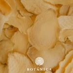 botanica-zacini (26)
