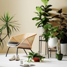 miniforms-colony-meblo-trade (1) miniforms-colony-meblo-trade (1)