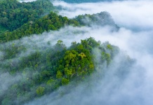 Nova zelena obećanja i green ciljevi