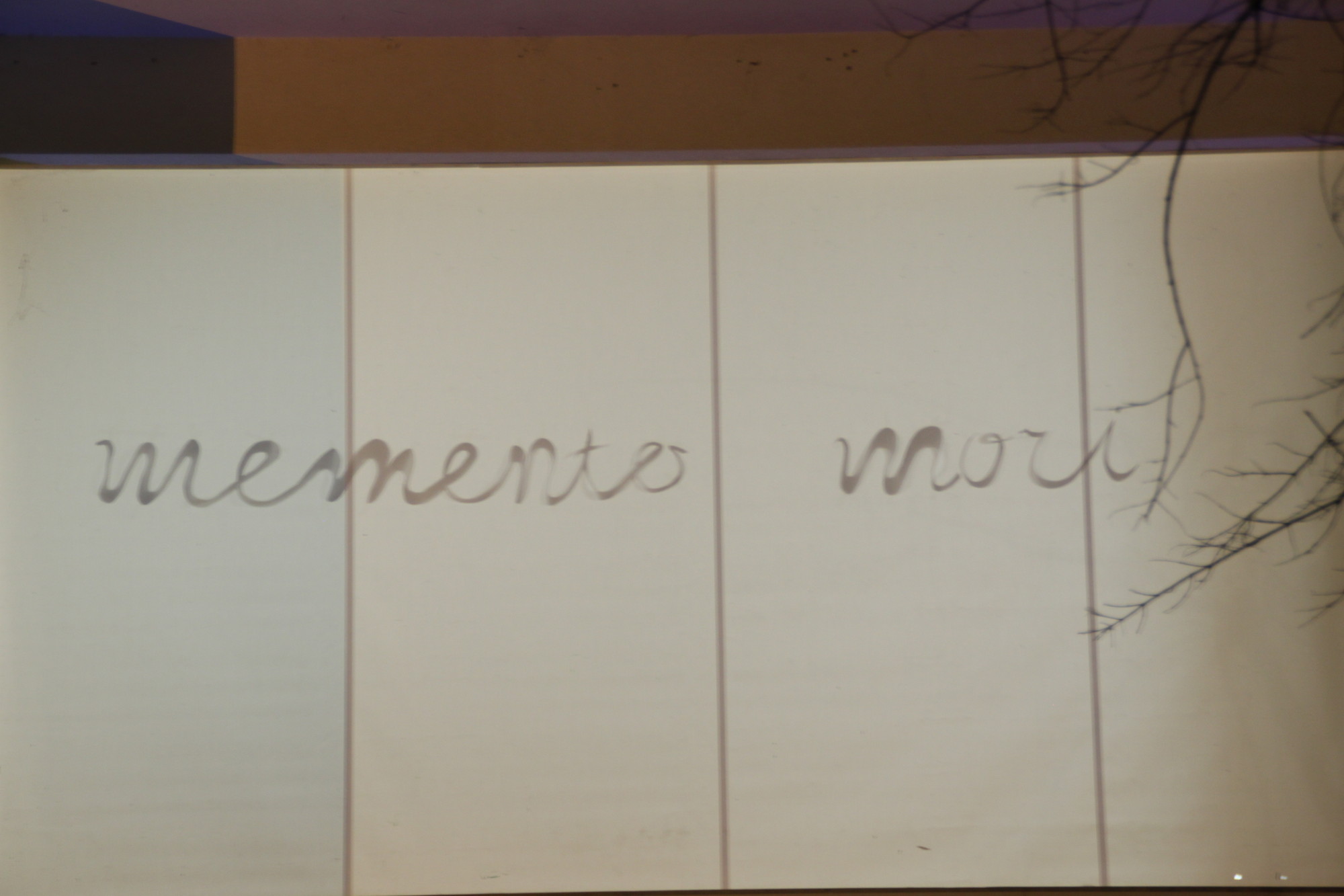 dragana-sapanjos-momento-mori (2)