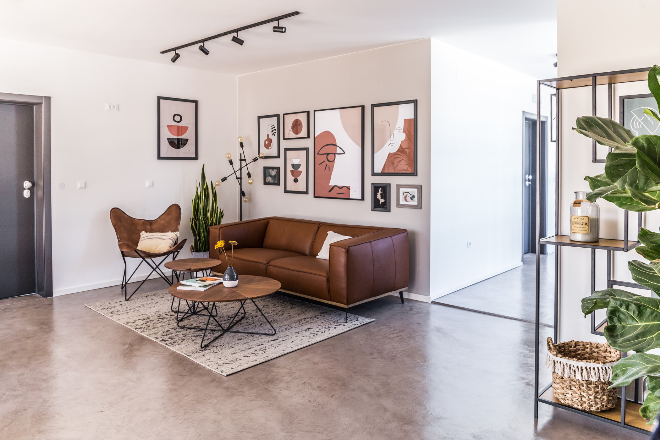 olive-house-design-house-dblog (7)