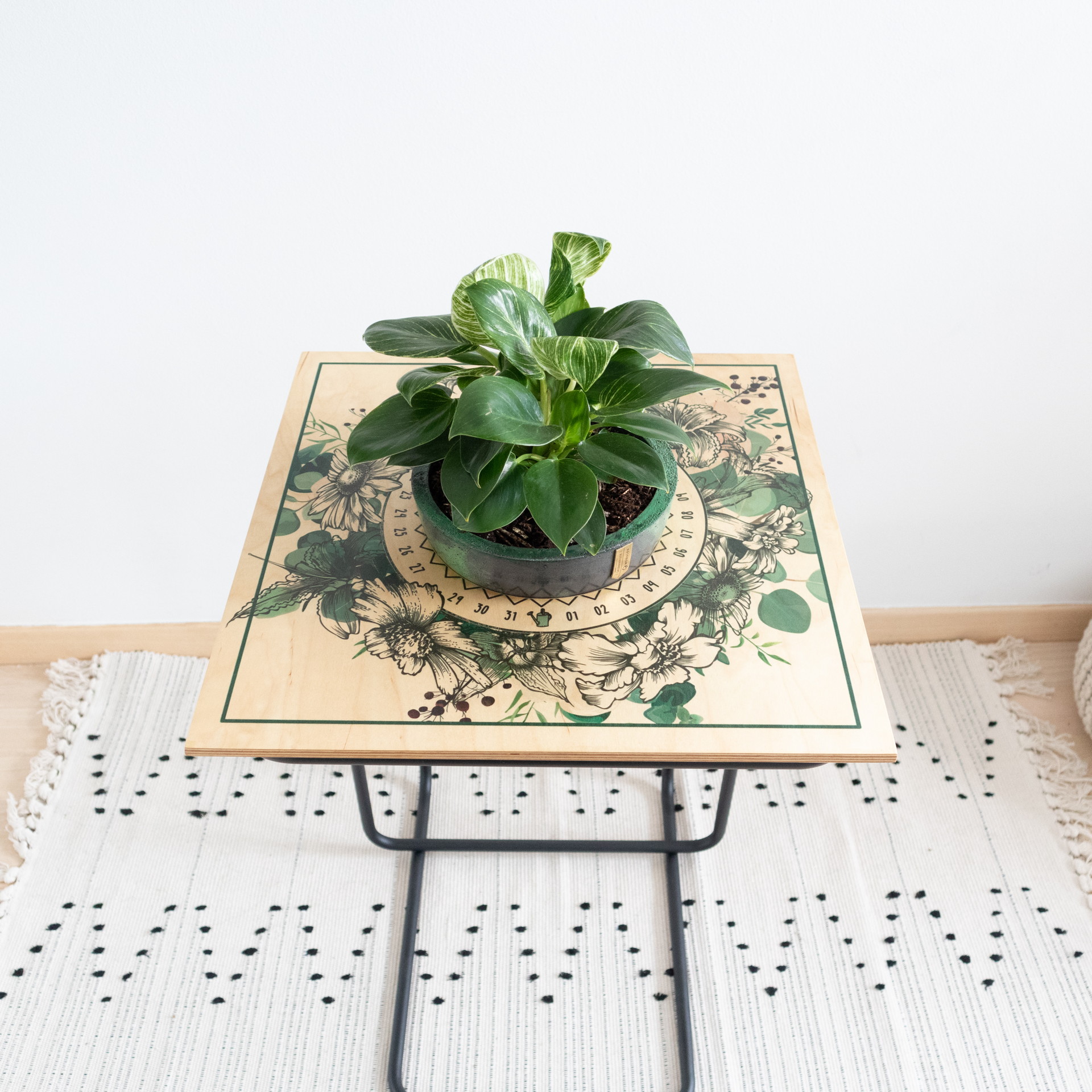 modulos-stolići (13)