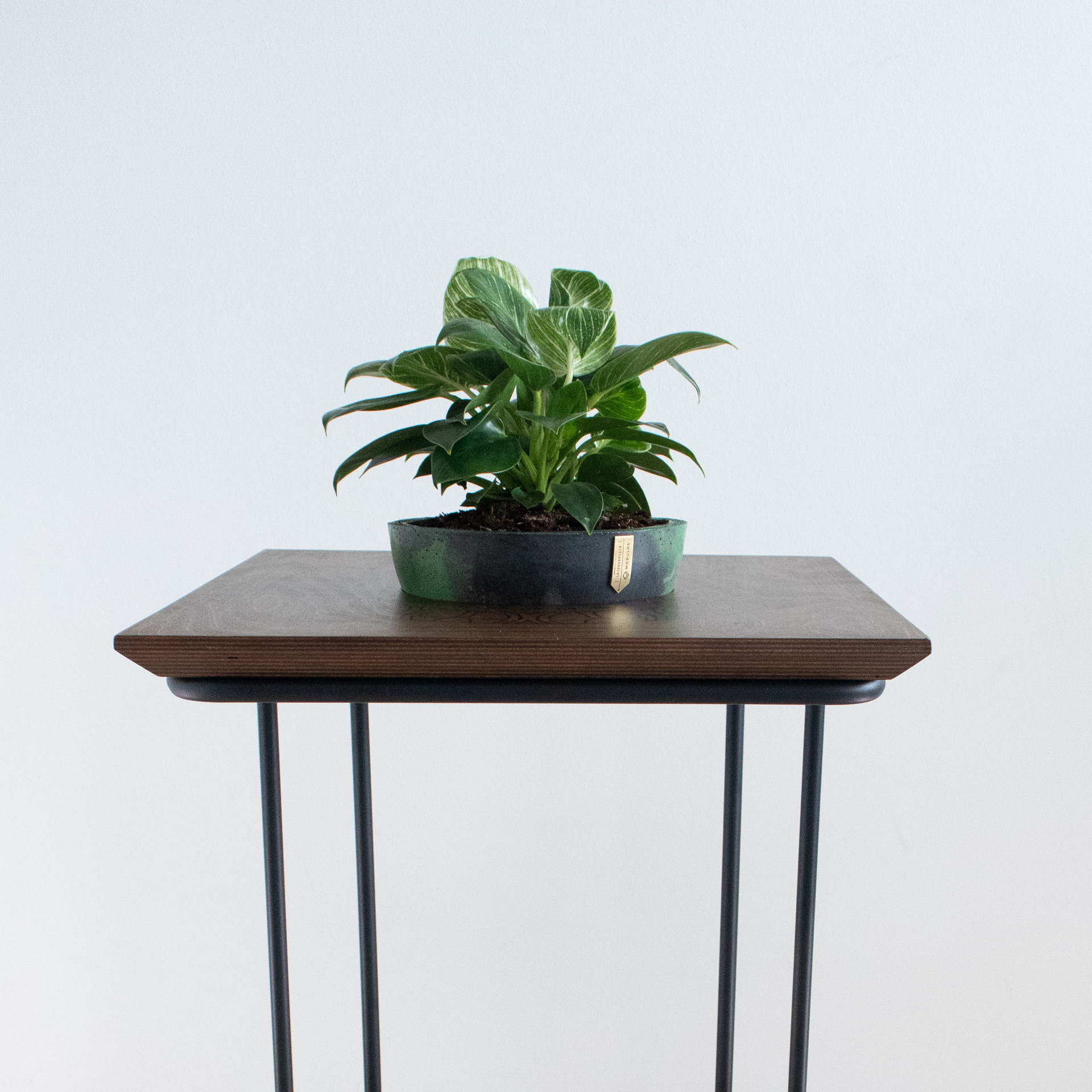 modulos-stolići (16)