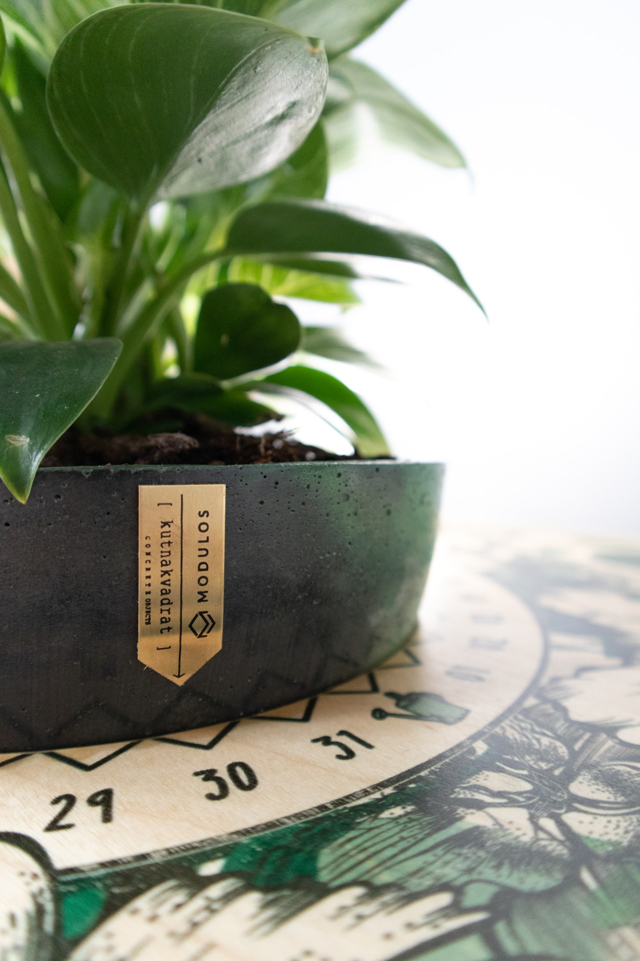 modulos-stolići (18)