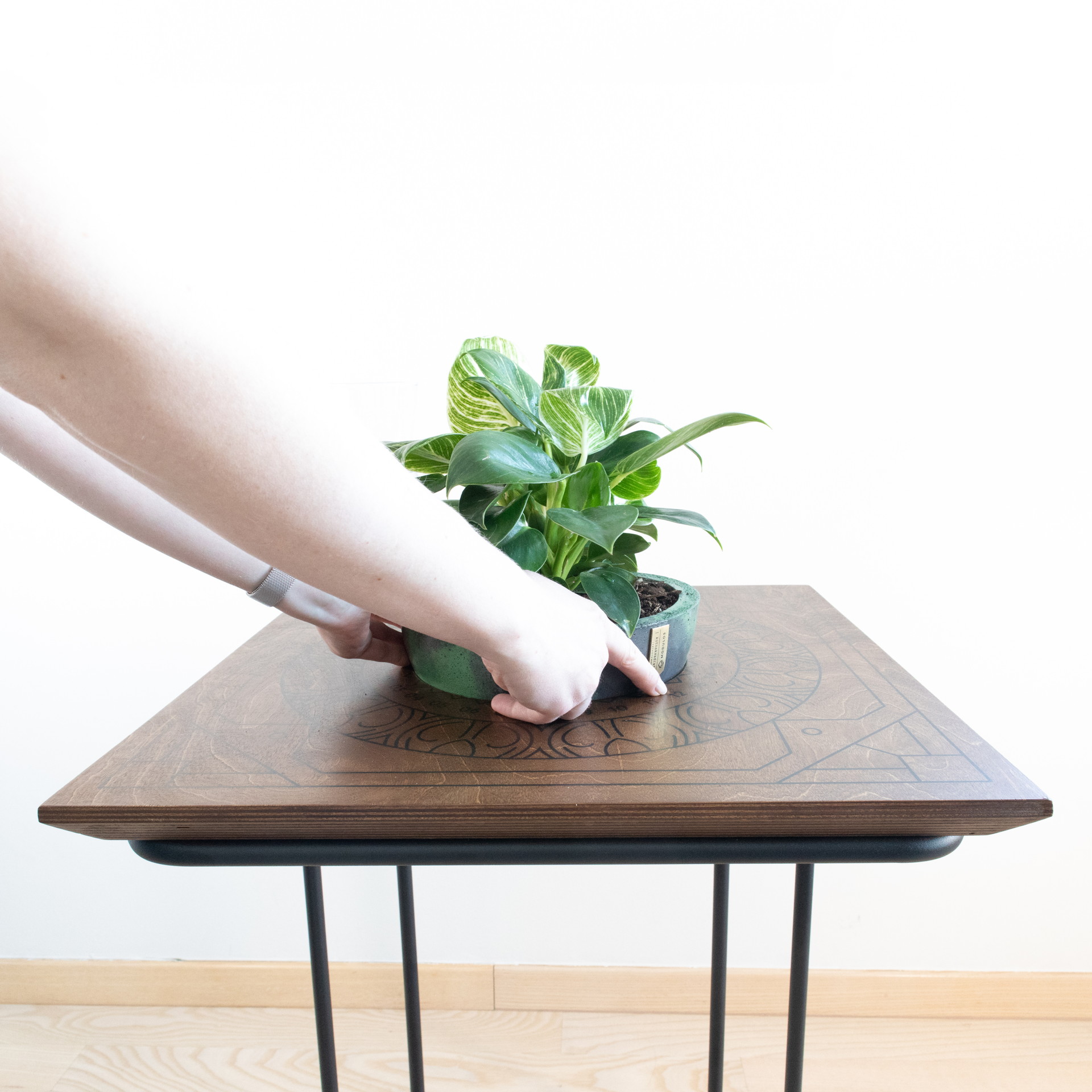 modulos-stolići (23)