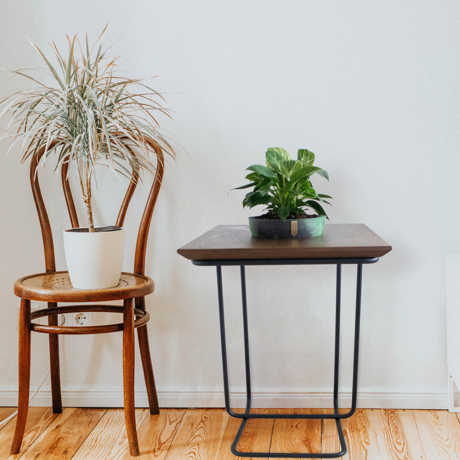 modulos-stolići (7)