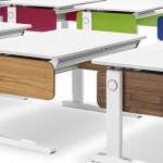 moll-moll-champion-male-stvari