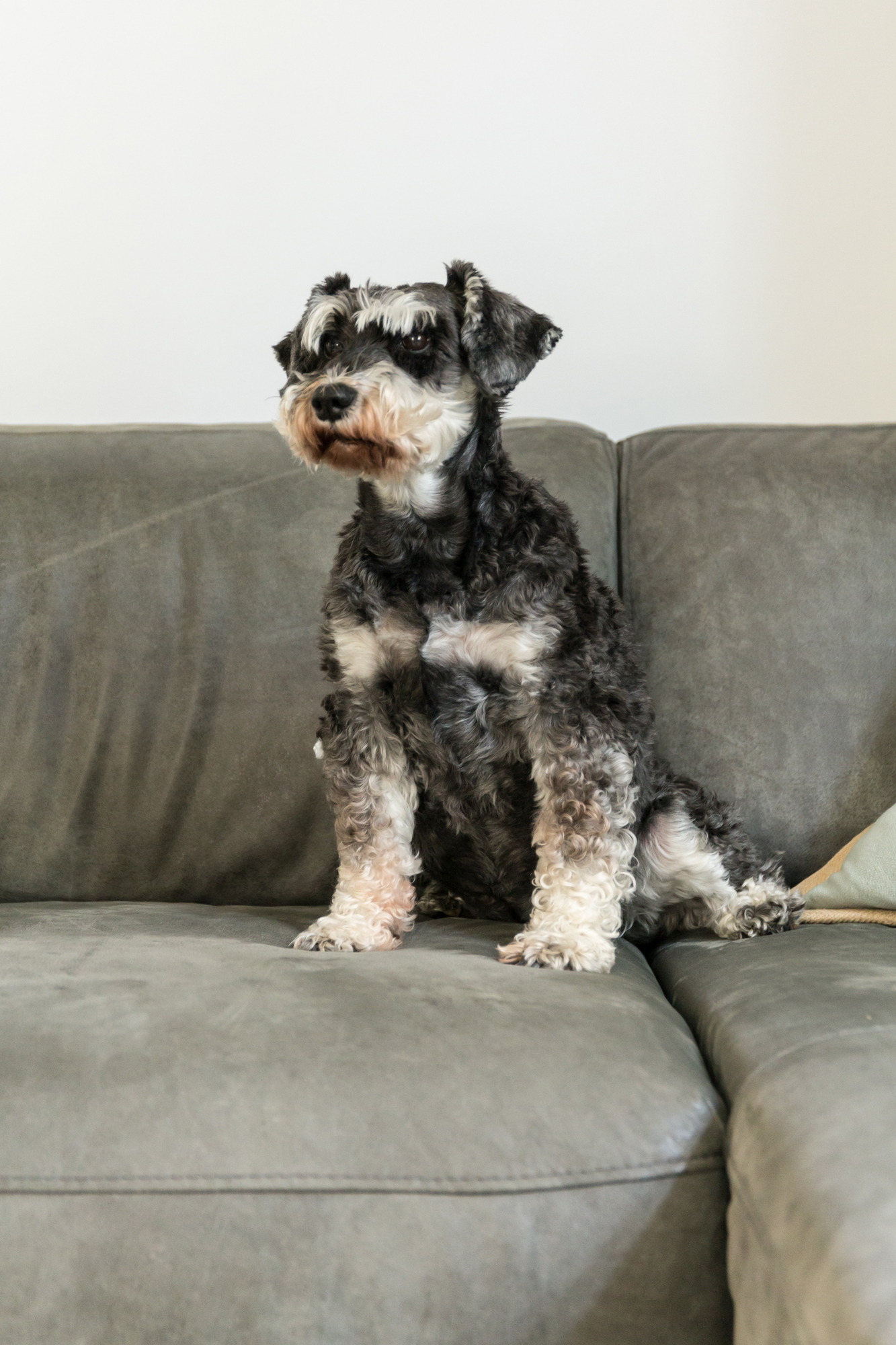 opatija-stan-cigla-arhitektura-dblog (64)